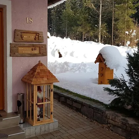 Haus Sunshine Apartment Hermagor-Pressegger See Exterior photo