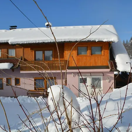 Haus Sunshine Apartment Hermagor-Pressegger See Exterior photo